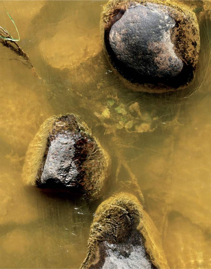 深礦是危險(xiǎn)的地方,致命事故是生活中的事實(shí)。-復(fù)刻表