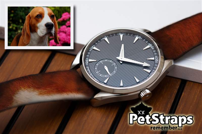 PetStraps：寵物伴侶的愛存在于……您的手腕上-復刻表