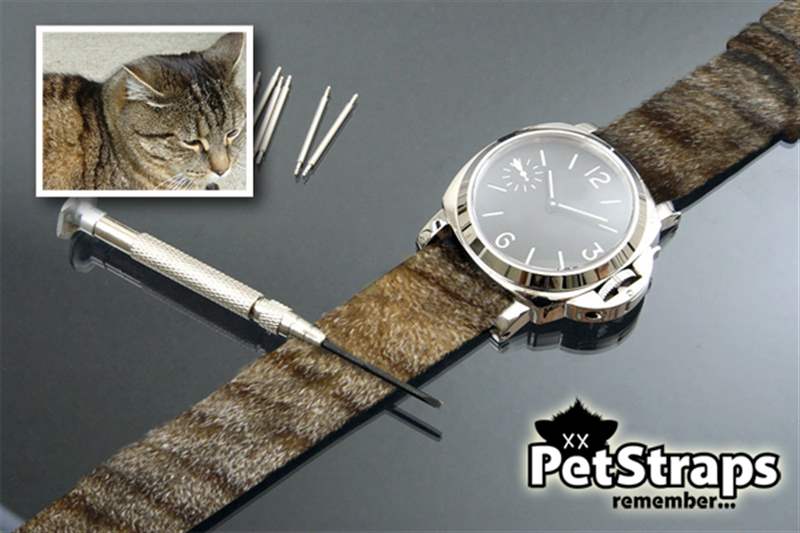 PetStraps：寵物伴侶的愛存在于……您的手腕上-復刻表